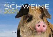 Schweine Kalender 2025 - Cover