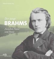 Der junge Brahms - Cover