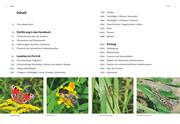 Das große BLV Handbuch Insekten - Illustrationen 1
