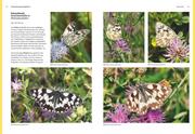 Das große BLV Handbuch Insekten - Abbildung 3