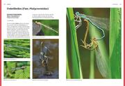 Das große BLV Handbuch Insekten - Abbildung 4