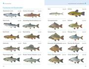 Fischerprüfung - Illustrationen 3