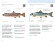 Fischerprüfung - Illustrationen 5