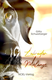 Labrador Melange