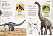 Verborgene Welt der Dinosaurier - Abbildung 8