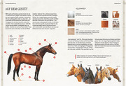 Verborgene Welt der Pferde - Abbildung 6