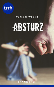 Absturz - Cover