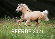 360° Pferde Exklusivkalender 2021