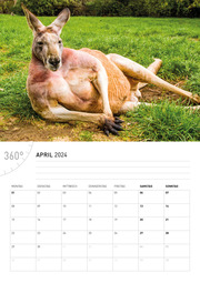360 Grad Australien Broschürenkalender 2024 - Abbildung 4