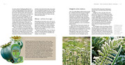 Pflanzengöttinnen und ihre Heilkräuter - Abbildung 4