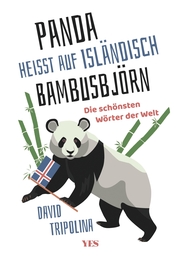 'Panda' heißt auf Isländisch 'Bambusbjörn' - Cover