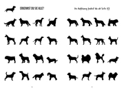 Unnützes Hundewissen - Illustrationen 4