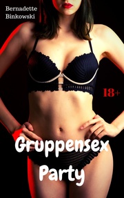 Gruppensex Party - Cover