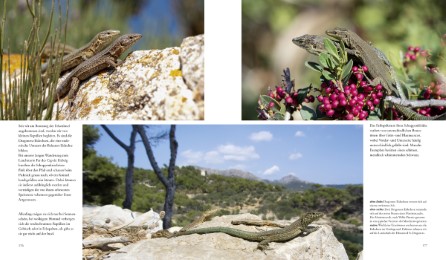 Naturerlebnis Mallorca - Abbildung 7