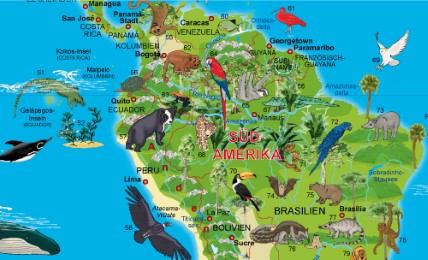Schreibunterlage Weltkarte Tiere - Abbildung 1
