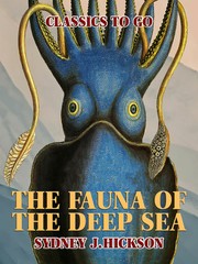 The Fauna of the Deep Sea
