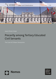 Precarity among Tertiary Educated Civil Servants - Cover