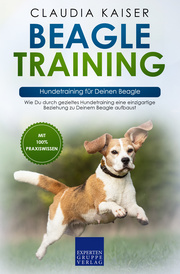 Beagle Training - Hundetraining für Deinen Beagle