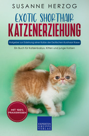 Exotic Shorthair Katzenerziehung - Ratgeber zur Erziehung einer Katze der Exotischen Kurzhaar Rasse