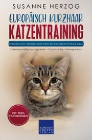 Europäisch KurzhaarEuropäisch Kurzhaar Katzentraining - Ratgeber zum Trainieren einer Katze der Europäisch Kurzhaar Rasse