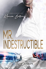 Mr. Indestructible - Cover