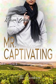Mr. Captivating - Cover