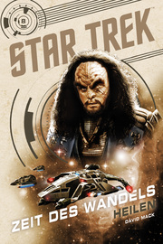 Star Trek - Zeit des Wandels 8: Heilen - Cover