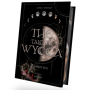 THE TALE OF WYCCA: Memories (WYCCA-Reihe 3) - Cover