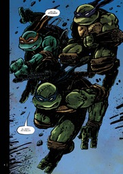Teenage Mutant Ninja Turtles Splitter Collection 03 - Abbildung 1
