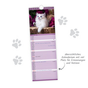 Katzen Notizkalender 2024 - Abbildung 2