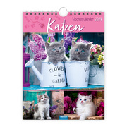 Wochenkalender Katzen 2024 - Cover
