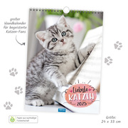 Trötsch Classickalender Liebste Katzen 2025 - Abbildung 1