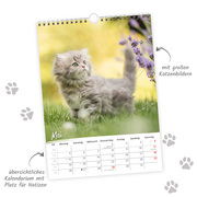 Trötsch Classickalender Liebste Katzen 2025 - Abbildung 2
