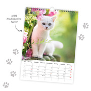 Trötsch Classickalender Liebste Katzen 2025 - Abbildung 3