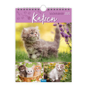 Trötsch Wochenkalender zum Hängen Katzen 2025 - Cover