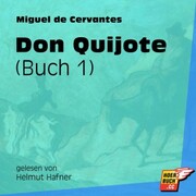 Don Quijote Buch 1