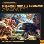 Meleager und die Eberjagd (Sagen des klassischen Altertums, Teil 3) - Cover