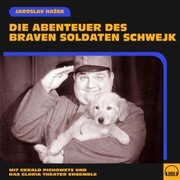 Die Abenteuer des braven Soldaten Schwejk - Cover