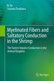 Myelinated Fibers and Saltatory Conduction in Invertebrates
