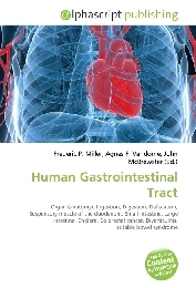 Human Gastrointestinal Tract