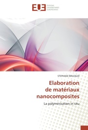 Elaboration de materiaux nanocomposites