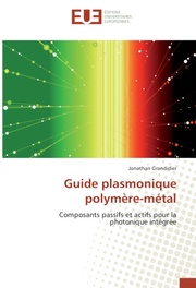 Guide plasmonique polymere-metal