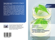 Tissue Culture and Transformation of Eggplant with Synthetic Gene