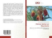 Palmier dattier en Mauritanie