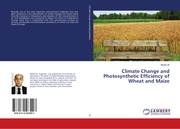 Climate Change and Photosynthetic Efficiency of Wheat and Maize
