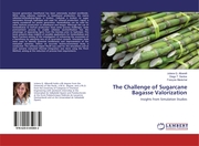 The Challenge of Sugarcane Bagasse Valorization
