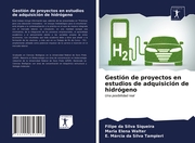 Gestión de proyectos en estudios de adquisición de hidrógeno