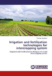 Irrigation and fertilization technologies for intercropping system
