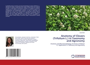 Anatomy of Clovers (Trifolium L.) in Taxonomy and Agronomy