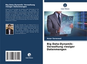 Big Data-Dynamik: Verwaltung riesiger Datenmengen - Cover